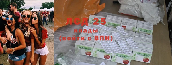 эйфоретик Баксан