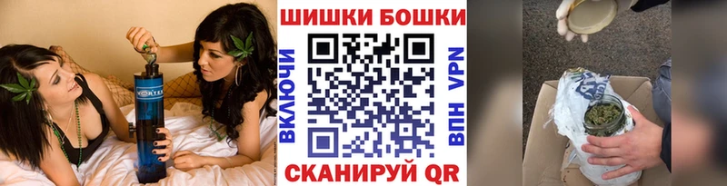 Купить закладки  Георгиевск  Бошки Шишки семена 